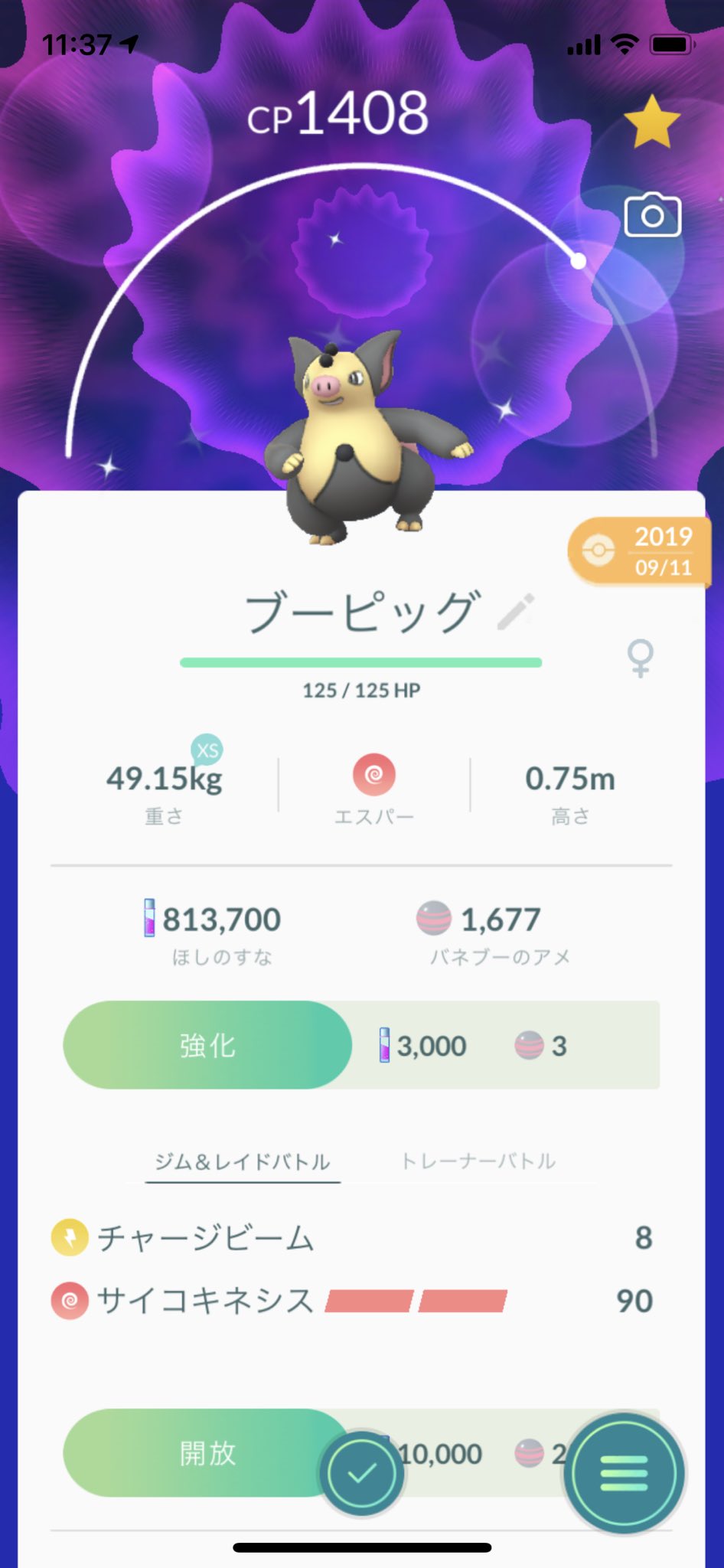 Choku 光る豚 さん いらっしゃい 2匹目なので1匹を進化 黒と金の面白い色合い ポケモンgo バネブー ブーピッグ T Co Ywvcnbn79o Twitter