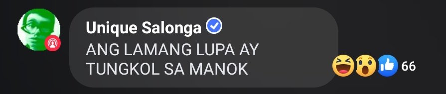 artsonista's tweet photo. LAMANG LUPA 

(MANOK WITH RESPECT!)
#UNIQUE2NDALBUM https://t.co/ROgz2gMDoo