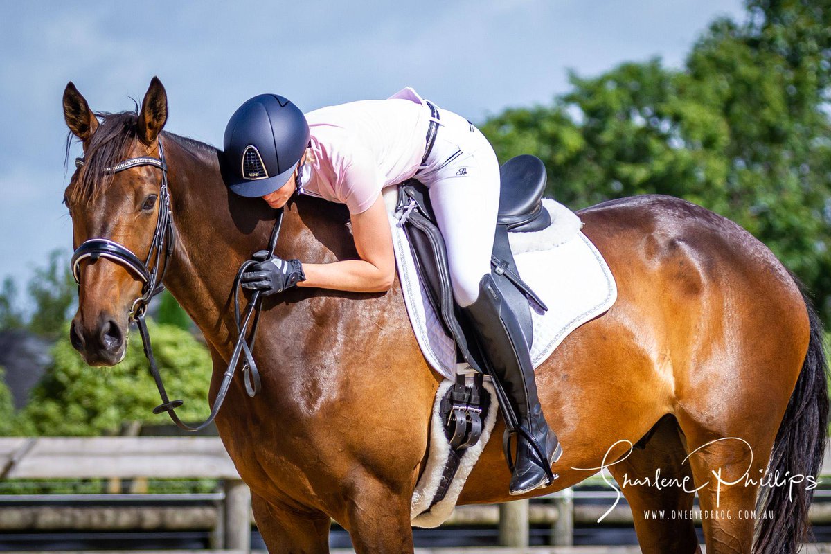 oneeyedfrog_'s tweet image. Photographic Memories #oneeyedfrog #horses #SocialDistancingNow #randallpark #equestrianaustralia #equestrianvictoria