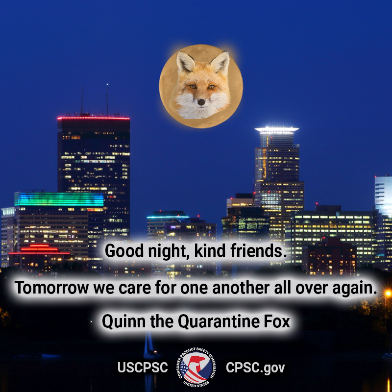 A fox named quinn the quarantine fox in the moon over Minneapolis. The text reads: good night kind friends. tomorrow we care for one another all over again.