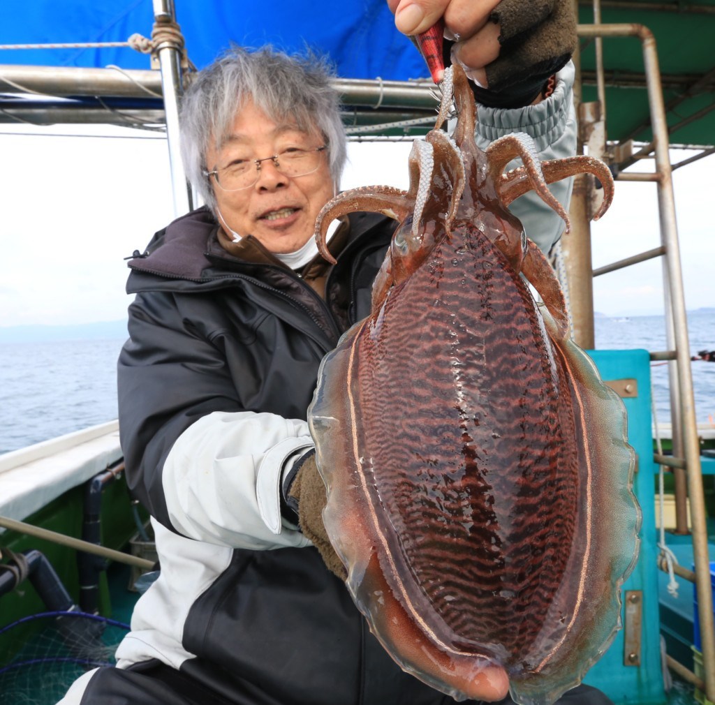 つりそく Com コウイカの当たり年 初心者でも楽しめる春イカ釣りが面白い 和歌山 加太 三邦丸 和歌山 加太 コウイカ イカ 春イカ 船釣り つりそく 釣場速報 T Co Zlcdn3455c