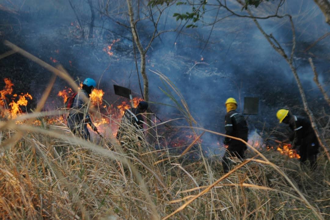 Bomberosforest6's tweet photo. @Notiyaradigital Bomberos forestales inparques y Guardaparques siguen en el combate del incendio forestal en el municipio cocorote del parque nacional yurubi https://t.co/6giKXqiaVW