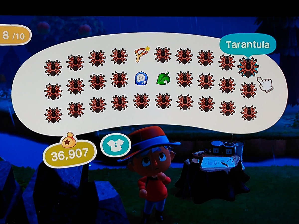 Wanted to see if I could find an island with bamboo on it, ended up with 216,000 bells worth of arachnids.That's like half of my next loan. #AnimalCrossingNewHorizons    #ACNH  