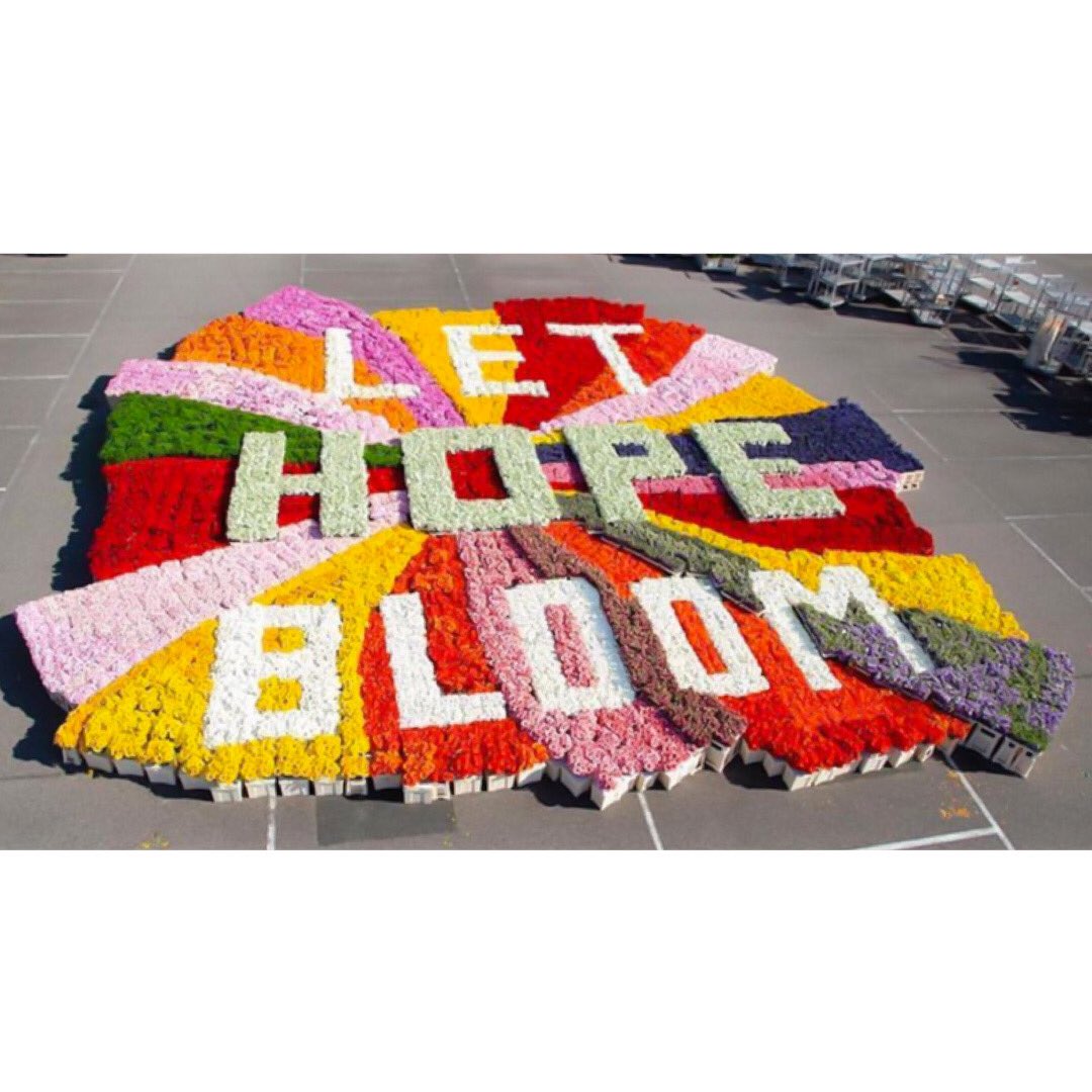 🌹FLOWERS have always and will always make us feel better and smile.

Covid-19 is having a major impact on the flower industry all around the world and Let Hope Bloom campaign is supporting us and sending positivity into the world.

#lethopebloom #flowerindustry #covid_19 #hope