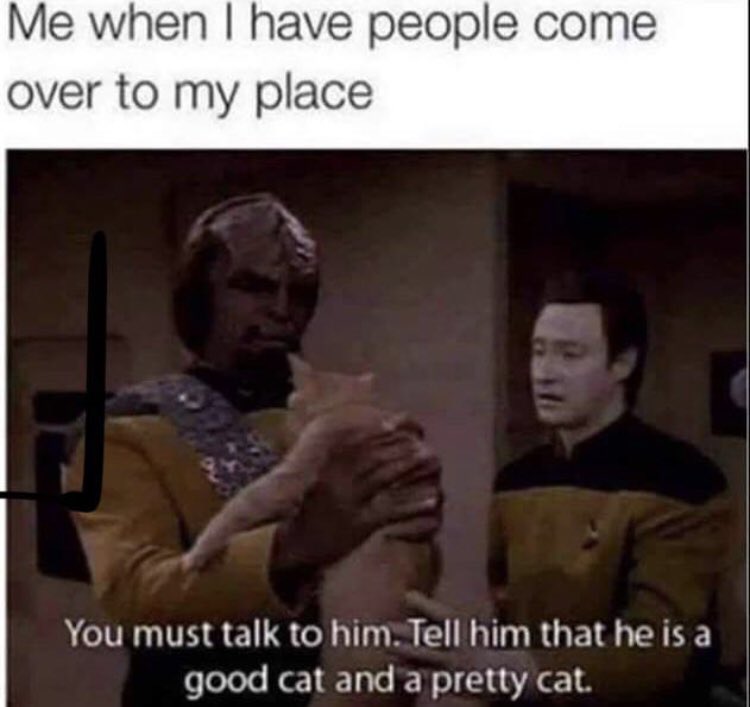 Respectful Memes (@respectfulmemes) on Twitter photo 