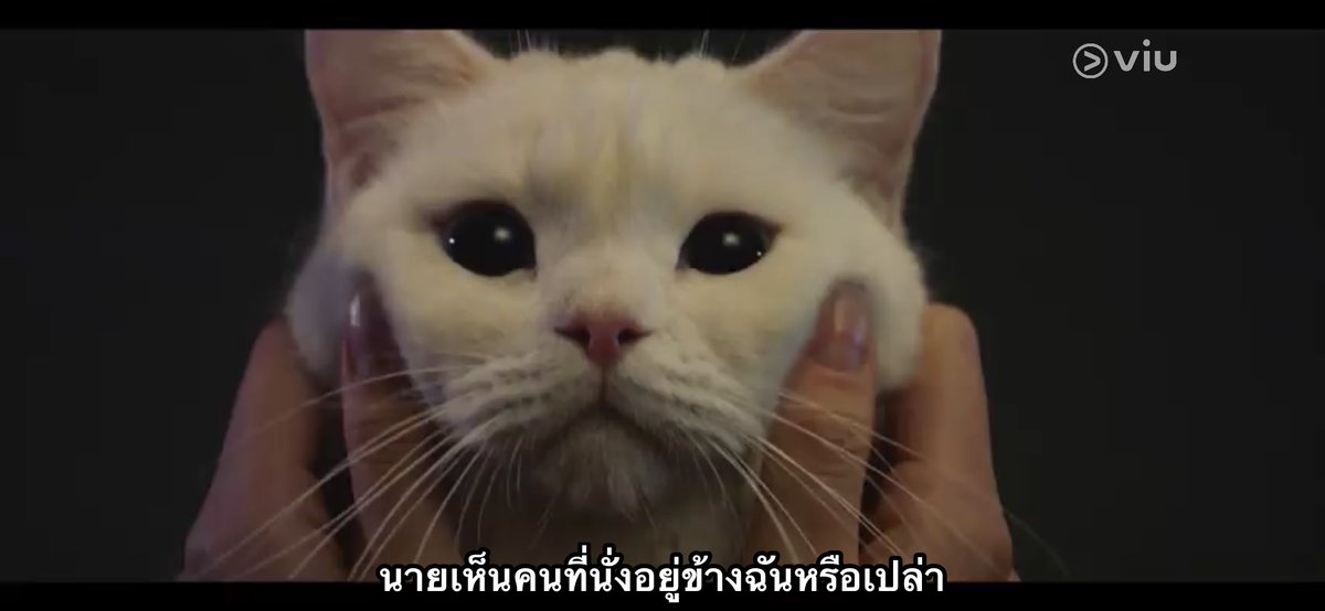 ณฐ 🥨 tweet media