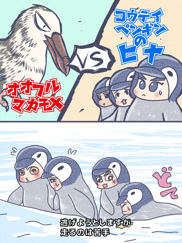 動物園行きたい

皇帝ペンギンのヒナ
#Xiumin
#Suho
#Lay
#Baekhyun
#Chen
#Chanyeol
#Kai
#Sehun

アデリーペンギン
#Kyungsoo 