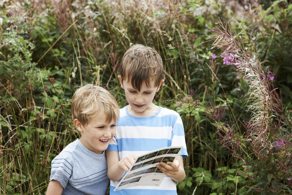 swlakes's tweet photo. Now is a great time to have adventures in your garden! Looking for ideas? Go on a minibeast hunt! See how many different types of minibeast you can find, and keep a record or draw them as you go! https://t.co/ynD5NKelUJ #101thingstodo https://t.co/56SredhYtT