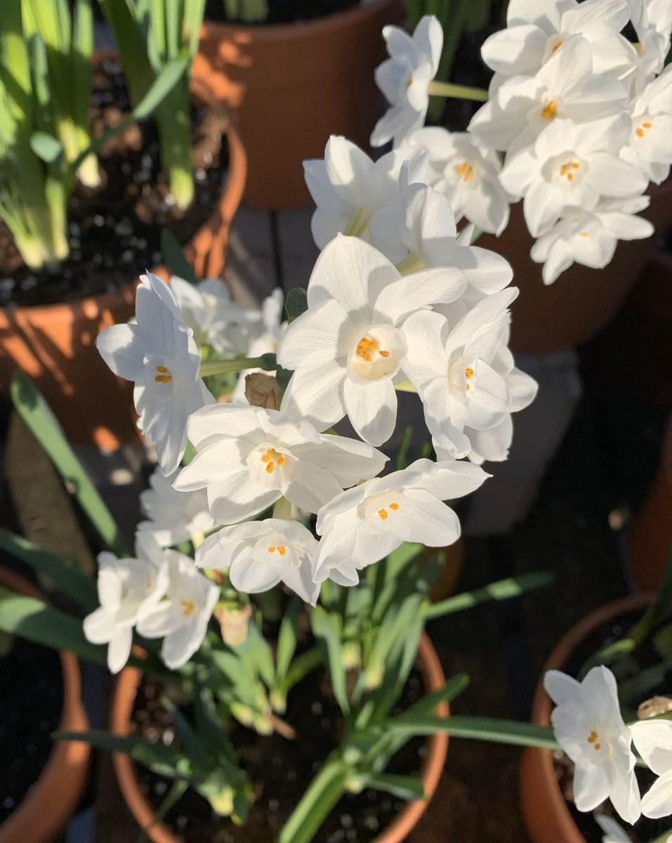 I know there doesn’t seem very much to celebrate or feel happy about at the moment, as it feels like the World has stopped...But during the month of April I would like to offer you 20% off all our Collection of <a href="/my_overalls/">My Overalls</a> It’s a small appreciation for all the support! 🙏