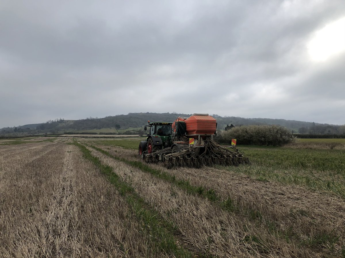 No1FarmerJake's tweet photo. Lovely pause this morning waiting for the drill to appear. No M5 traffic, no local traffic, no trains. Just birds singing their hearts out. #peacefulreflection #didntlastlong #hammerdown ππ¨π± https://t.co/7N8oBrHjca