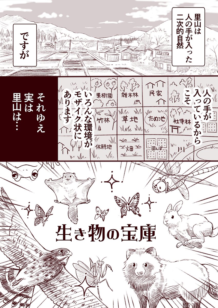 【探検!里山いきもの図鑑】のお知らせです。
里山は身近な生き物ランド!
森林浴でストレス解消、運動不足も解消、知的好奇心も満たされる。季節によって生き物も変わる!入場料不要!
https://t.co/O38SPAwmE8
「さあ、里山に出かけよう!!」 