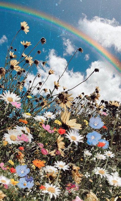 : RT @eastheticyj: YOUNGJAE AS A FLOWER GARDEN
A thread to summon a selfie from mr Choi youngjae ; h : RT @eastheticyj: YOUNGJAE AS A FLOWER GARDEN
A thread to summon a selfie from mr Choi youngjae ; h
