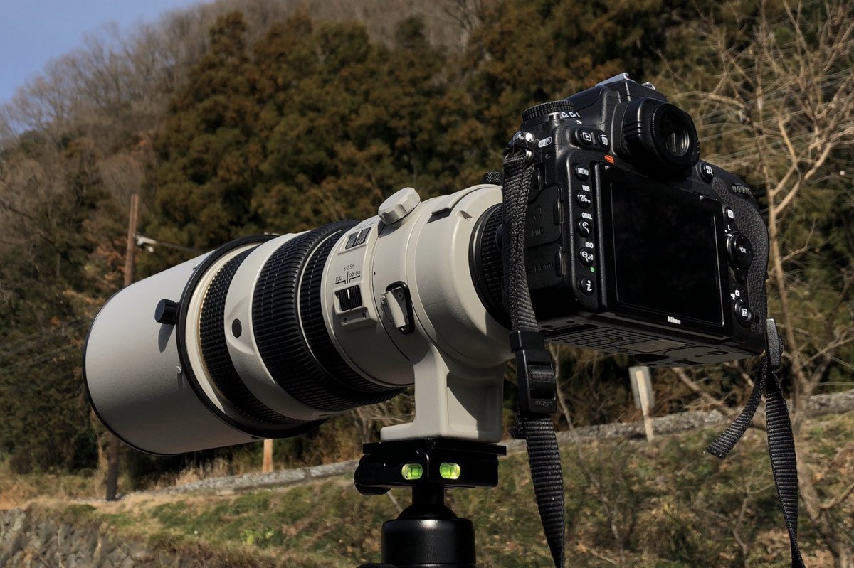 サンニッパの日 Nikon ED 300mm f2.8D もう20年以上前のレンズだけど