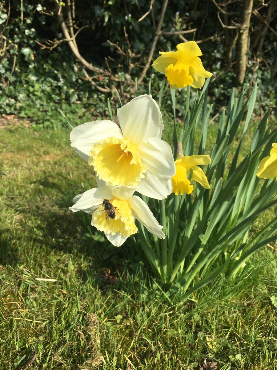 Maevemc's tweet photo. And just like that spring is here 😍❤️ https://t.co/Sa4SfNLCyN