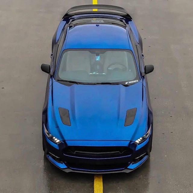 MustangShoutOut's tweet photo. #Repost @maniioo7 ・・・ Birds eye view #mustanglovers #birdseyeview #carshoot #bluemustang #roushperformance #wheels #mustangfanclub #mustangpoznan #poland https://t.co/CGb9W4Atuo https://t.co/HYTDEke81e