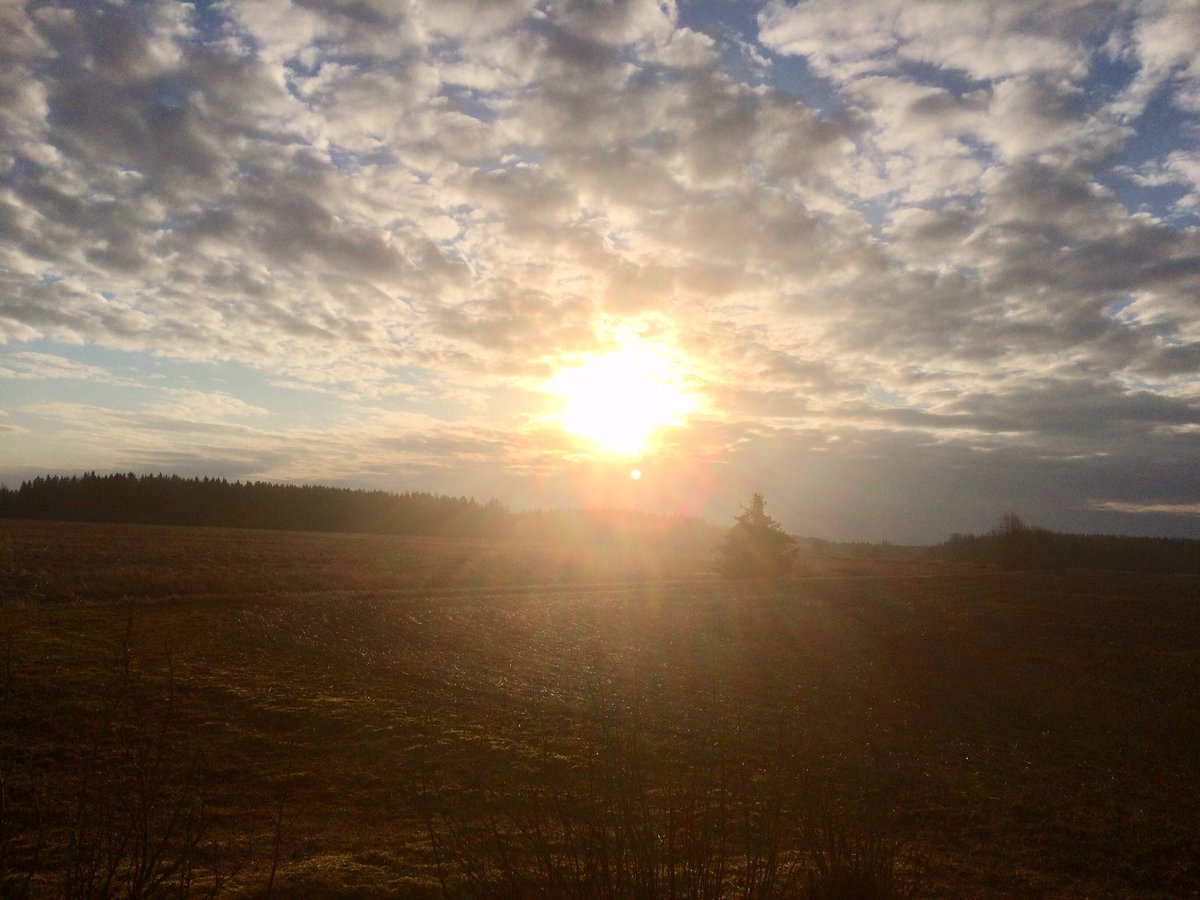 KaisaMarkula's tweet photo. Day 2/7 of my life in pictures. Rules: no words, no people. Nominate someone new each day. I was nominated by @PietilaEmmi Today's nomination @keskitalokatri https://t.co/rna19Fy7kB