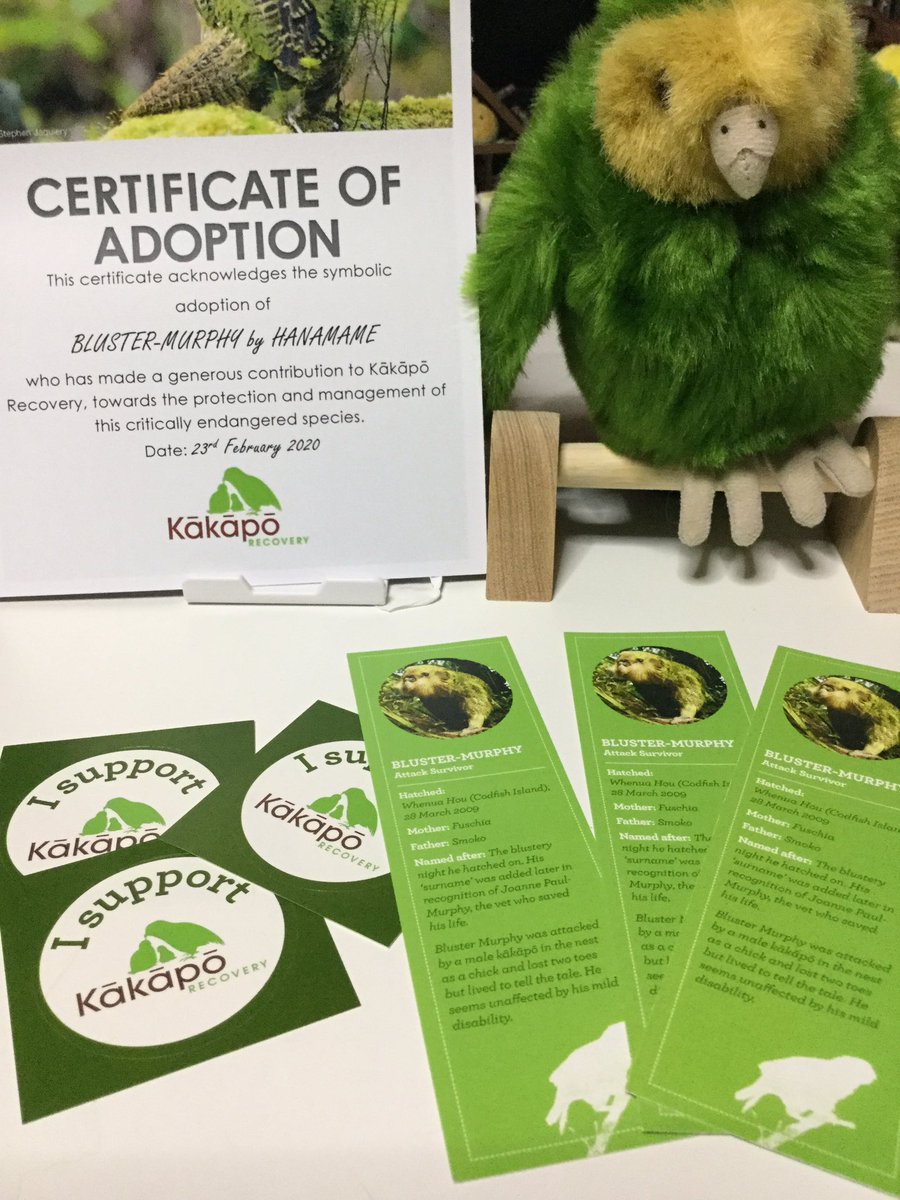 特大カカポぬいぐるみ（Kakapo Recovery 里親特典） This Is Not a Photo Opportunity特大カカポぬいぐるみ（Kakapo