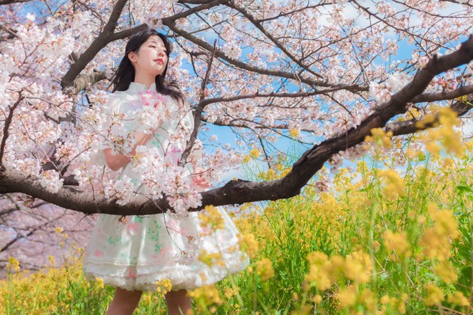 Twitterのコスプレ画像34