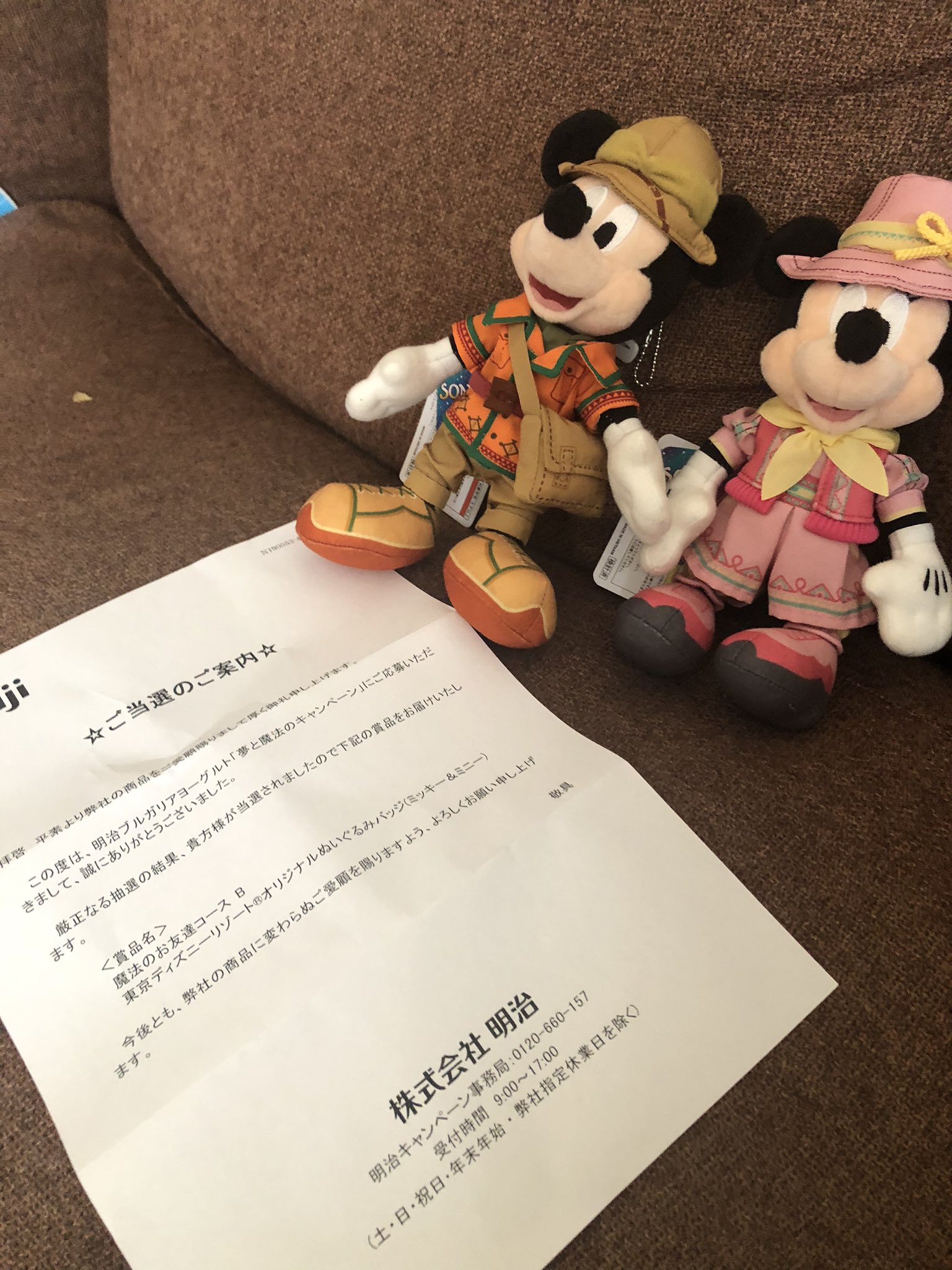 まるる 明治ブルガリアヨーグルトの懸賞で ぬいぐるみバッチ貰えたーー ラッキー 休園中だからホントに嬉しい ディズニー懸賞 T Co 36kszbcstd Twitter