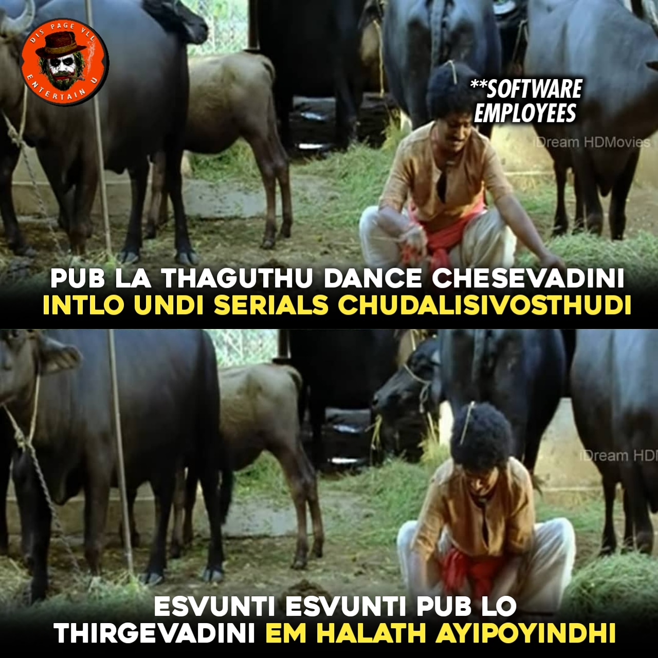 EULIsdzVAAIMPOc?format=jpg&name=large