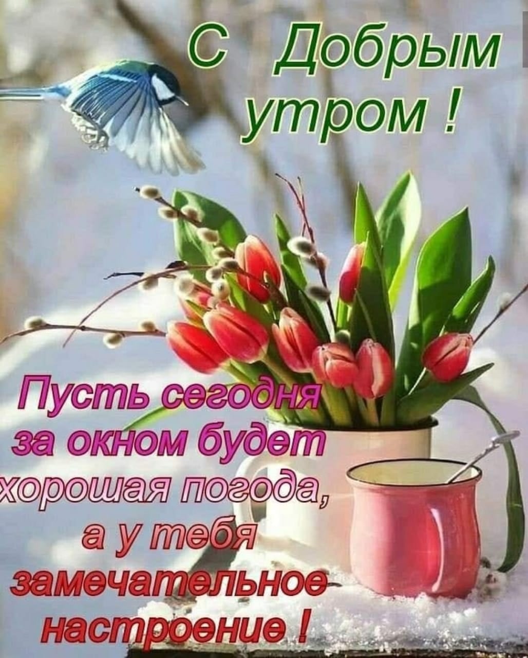 Доброе утро прекрасного дня