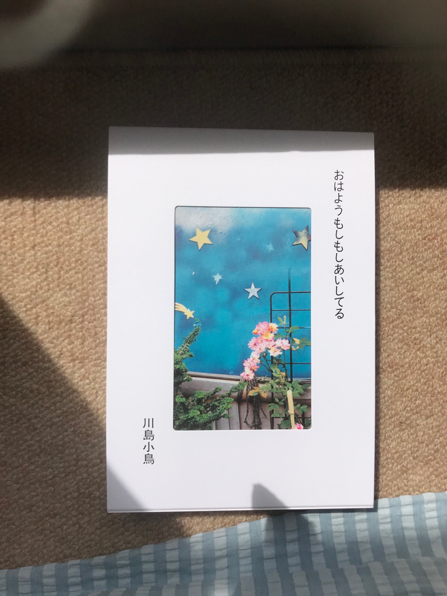 川島小鳥 おはようもしもしあいしてる 特装版 川島小鳥 特装版