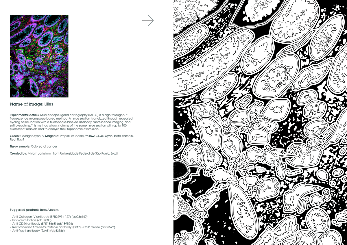 abcam's tweet image. Connect your scientific brain to your creative self and download the first page of Abcam’s new colouring book. Today’s feature: Multi-epitope-ligand cartography of a colorectal cancer sample.
Enjoy and share your fun via #abcamcolouring 🎨
bit.ly/33PkIJi