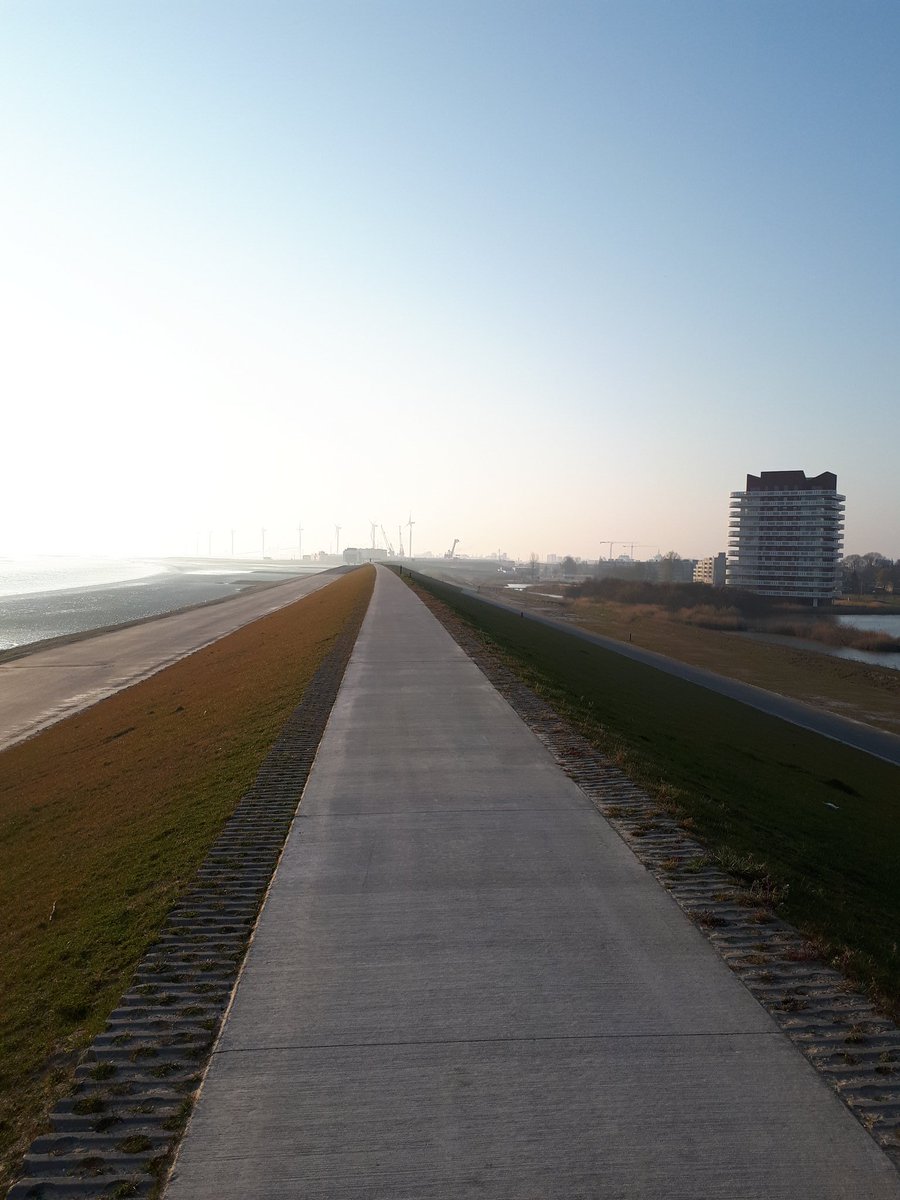 Andreas Tjalma tweet media