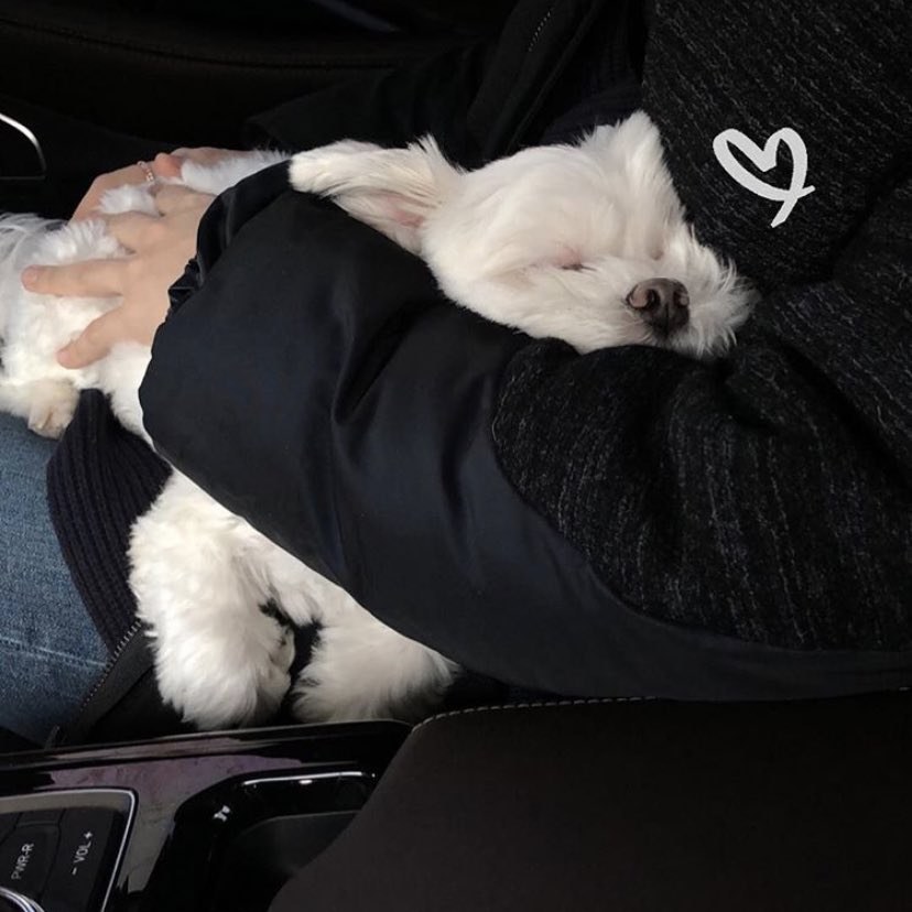 puppies coming out to play