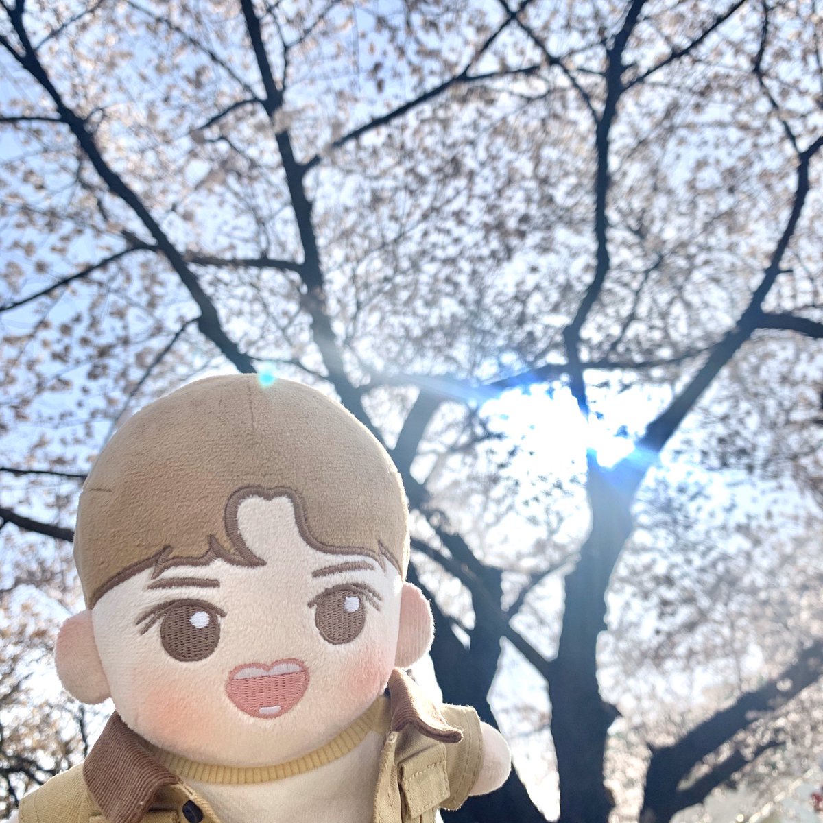 벚꽃구경🌸🌸
#셍언이
