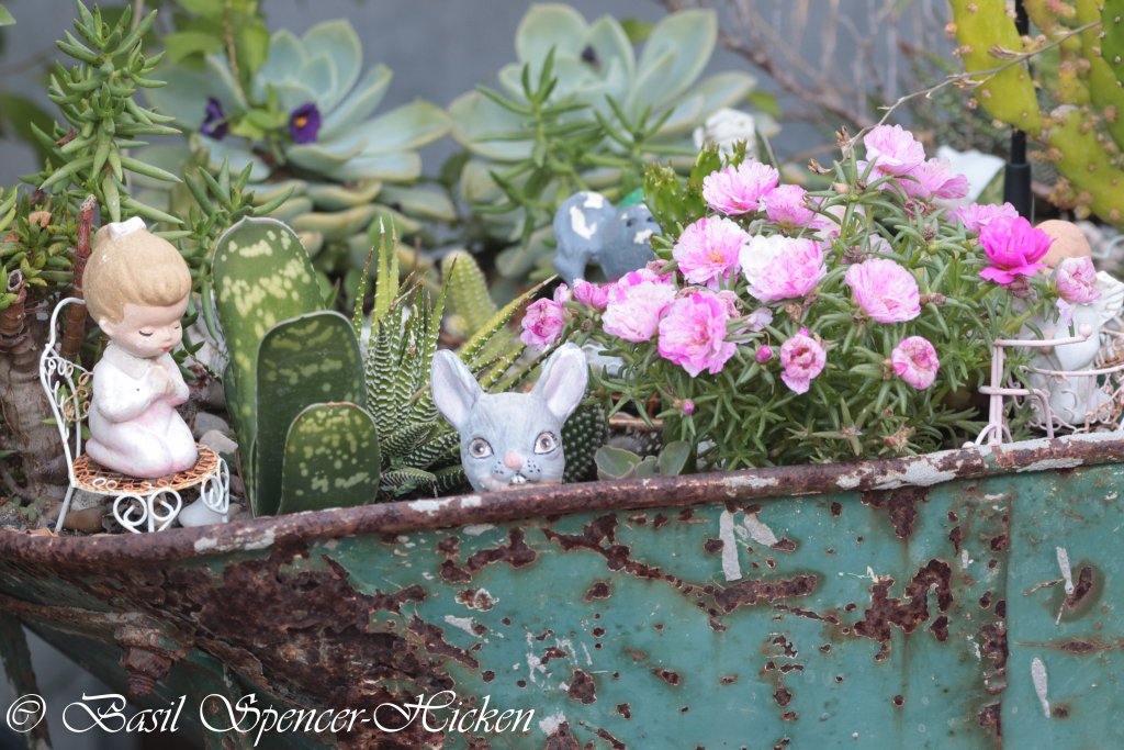 phototune's tweet photo. COVID-19 and my Garden https://t.co/7uu4d549Wr https://t.co/xhm7TQAxYc