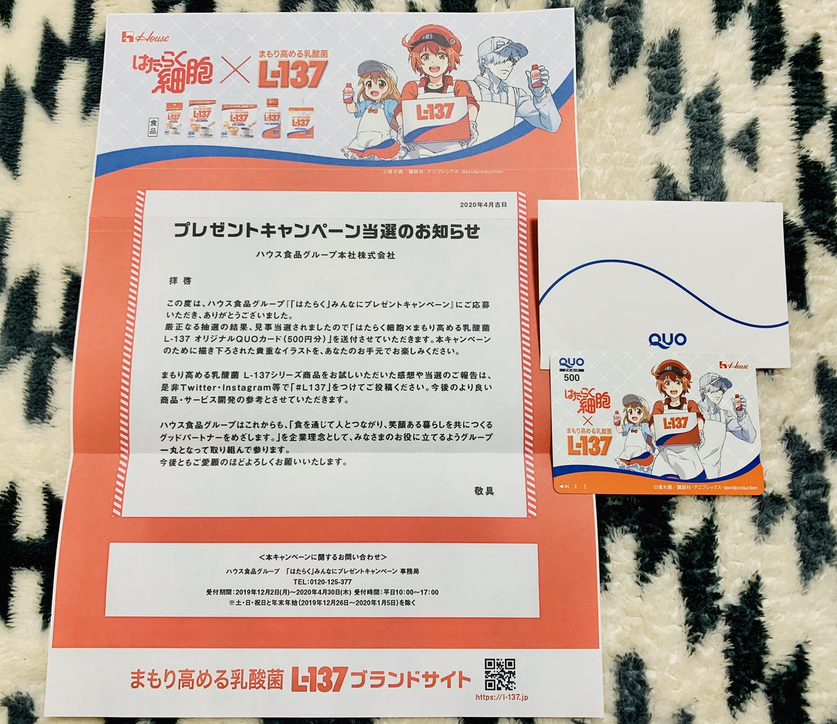 shion1188's tweet photo. ハウス食品グループ様のはたらくみんなにプレゼントキャンペーンでL-137 オリジナルQUOカード500円分当選しました＼(^ω^)／✨

レシート応募のやつだったかな🤔🧾
それにしても絵柄の1番右の人色白すぎる🤣

大事に使わせて頂きます🎶
ありがとうございます(〃ω〃)❤️

#L137 https://t.co/4qBm5WzjF8