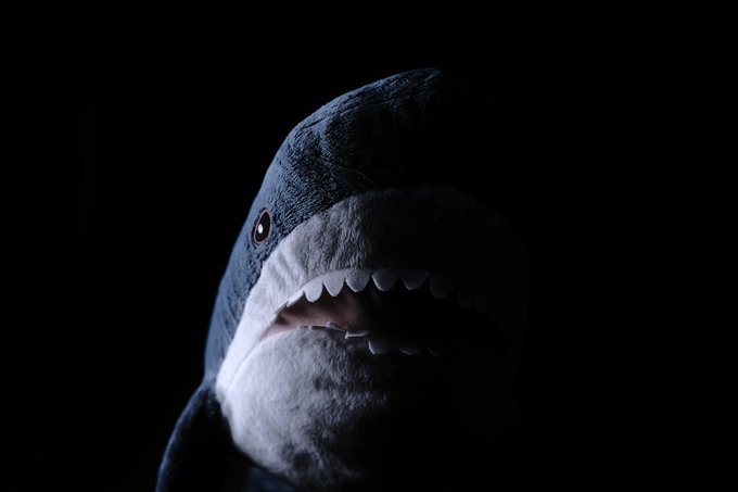 Ikeaのサメを怖そうに撮ってたら1日が終わった かわいいサメがホラーに変身 違いが驚きでかわいい ねとらぼ