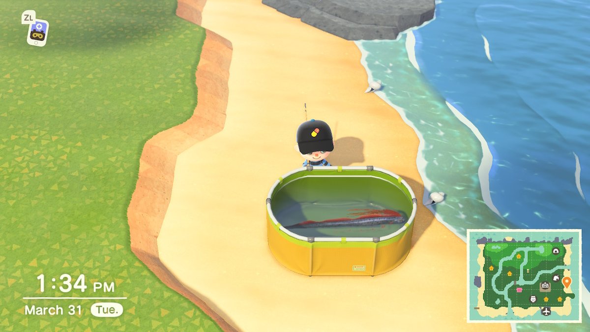 Mynintendoswit3's tweet photo. #AnimalCrossing #ACNH #NintendoSwitch https://t.co/vOuEpjh6Up
