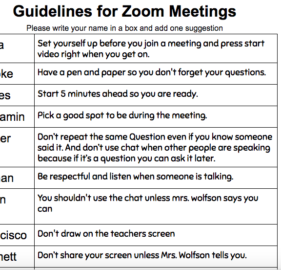 QRSWolfsonClass's tweet photo. We came up with some guidelines for having successful Zoom class meetings.   These are great suggestions! #qrspride https://t.co/N33oC0CY5q