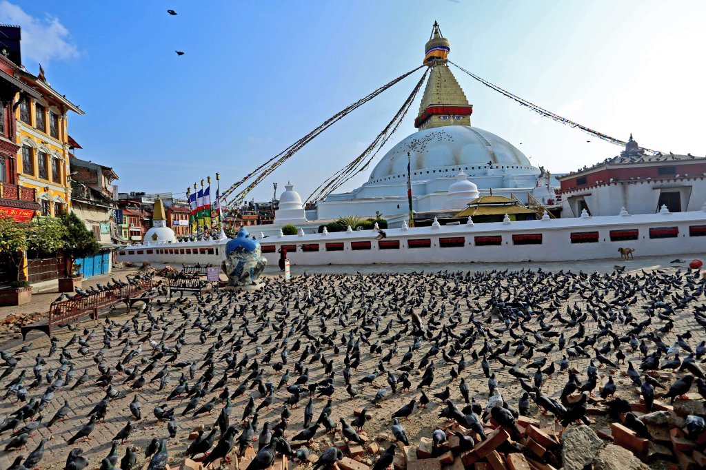 poornimashresth's tweet image. Lock down   Boudha stupa ❤️