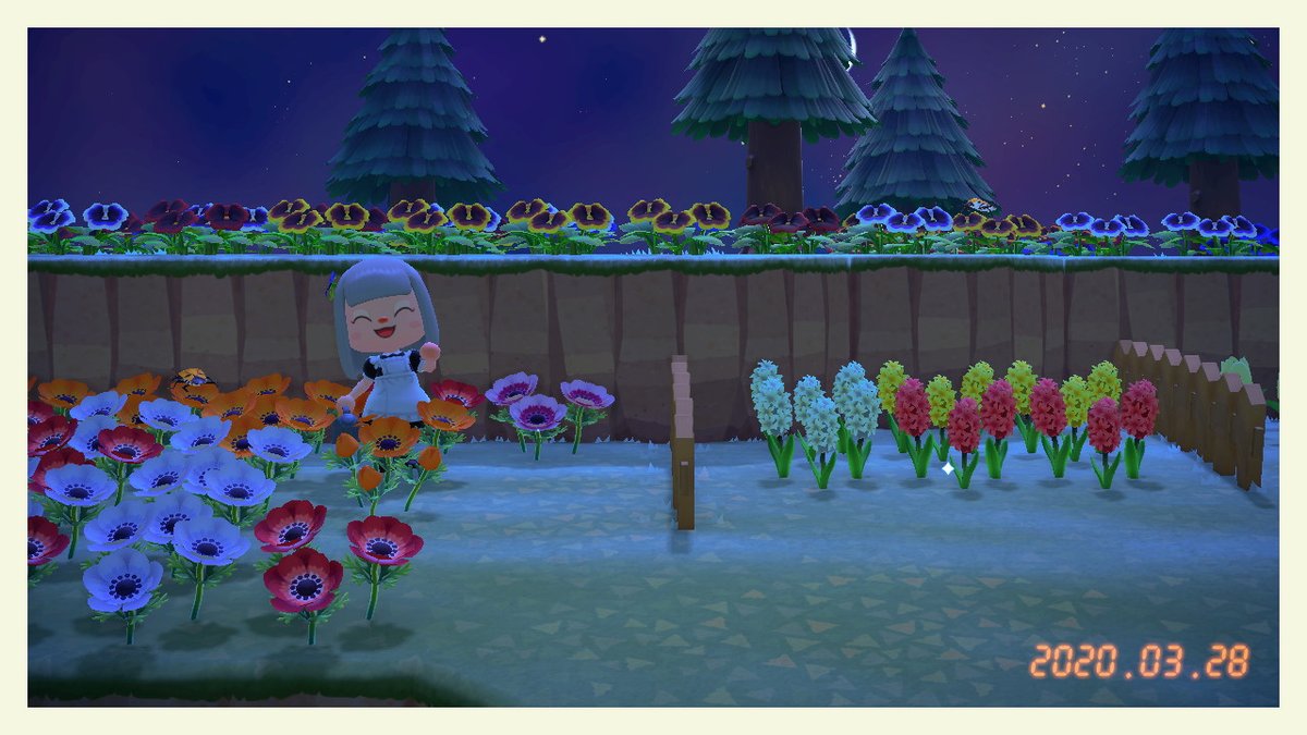 シェリム ブッダ على تويتر ピンクのアネモネさいた どうぶつの森 Animalcrossing Acnh Nintendoswitch