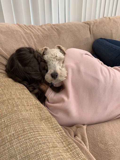 의 미디어: RT @megkat22: Pops and hoosis having a snuggle 🥰 https://t.co/u6GTyxhZp8 의 미디어: RT @megkat22: Pops and hoosis having a snuggle 🥰 https://t.co/u6GTyxhZp8