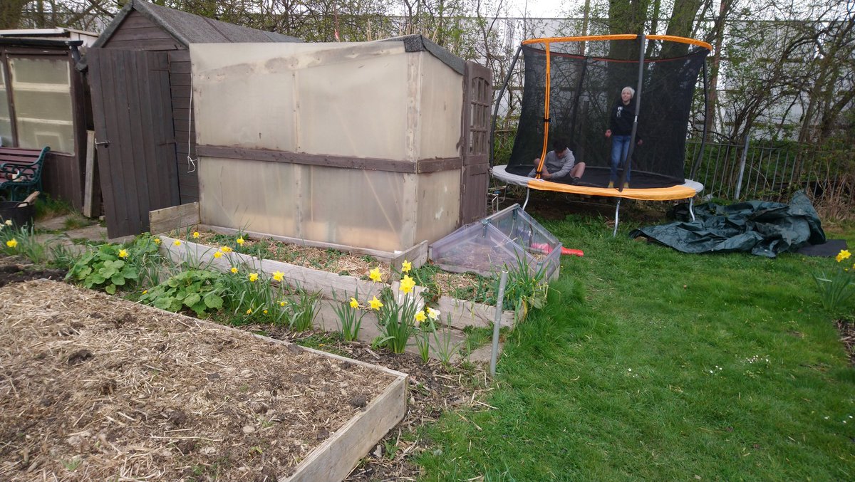 inchcliffe's tweet photo. Dig for victory! Thank god allotments are permitted excercise :-) https://t.co/MmoHVqJs9S