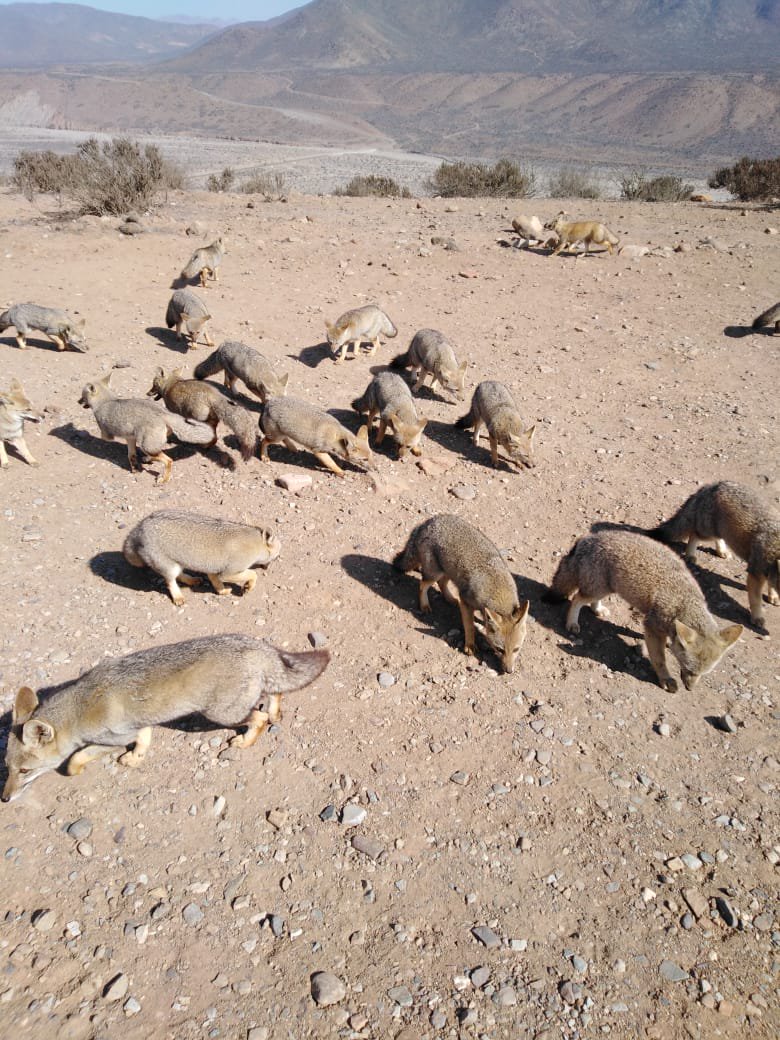 Ruben krrtro tweet media