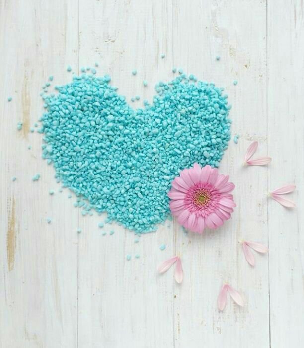 유지나 ♡작가♡ tweet media