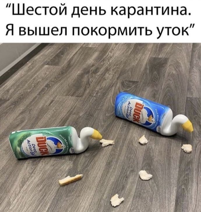 TimZhur tweet picture