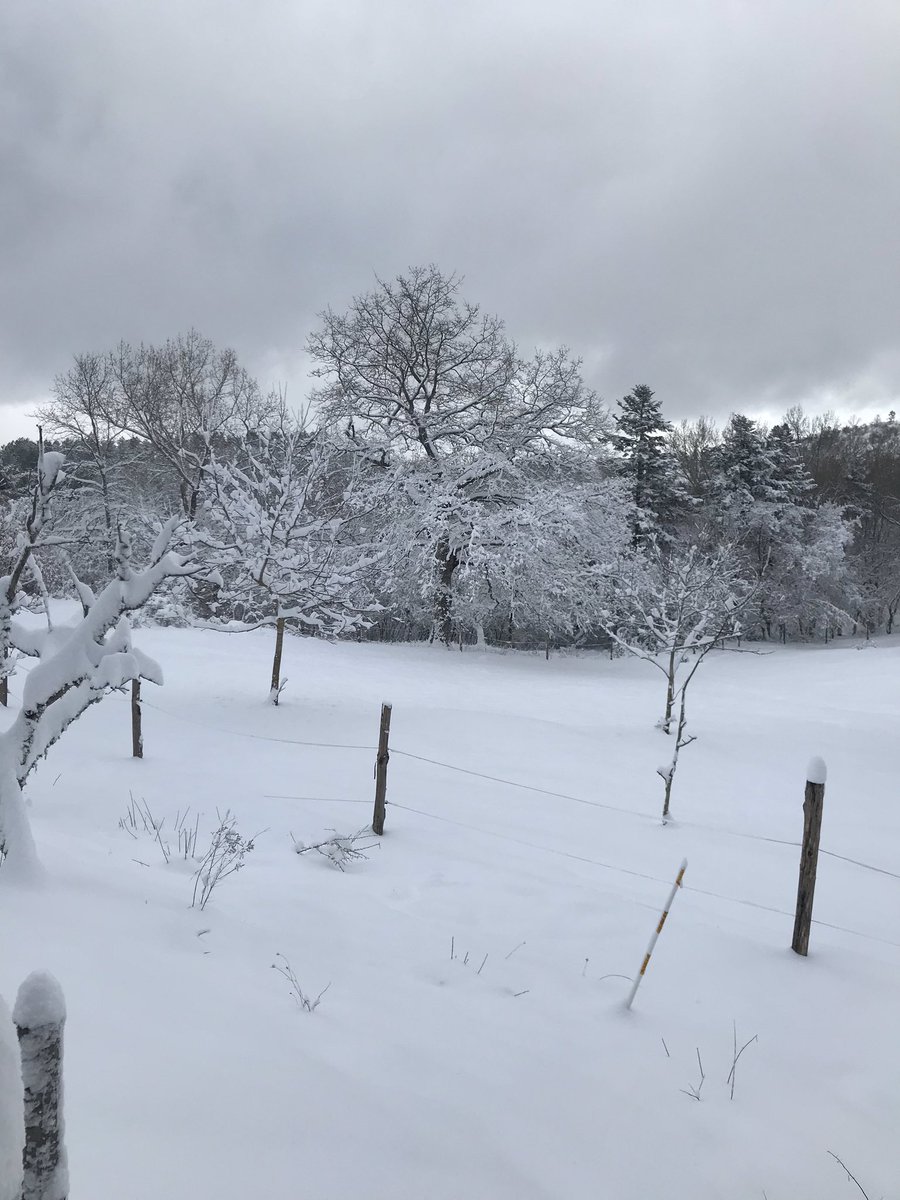 #COVID2019  #iorestocasa  anche perché con mezzo metro di neve dove cazzo vado