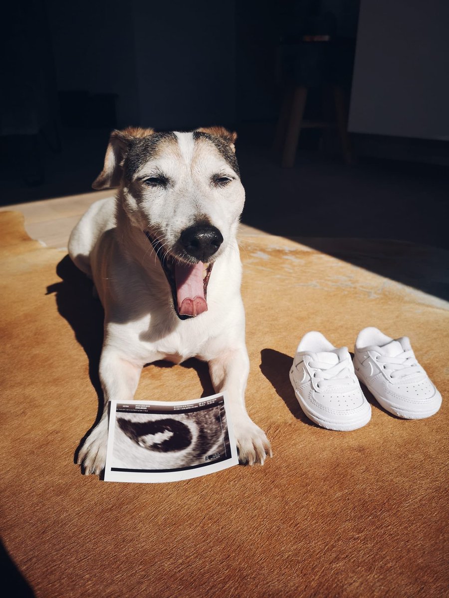 Yaaaay!! I'm so excited to announce that I'm going to be a big sister!! ❤️ #babyontheway 👶🏻