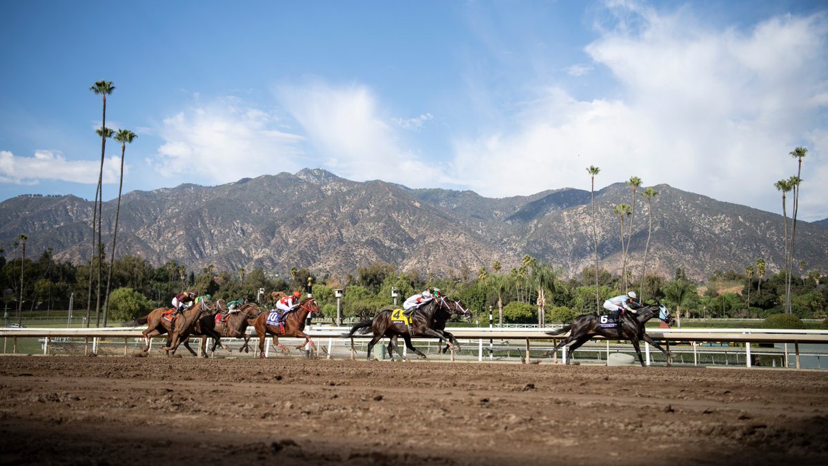 Racing Post tweet media