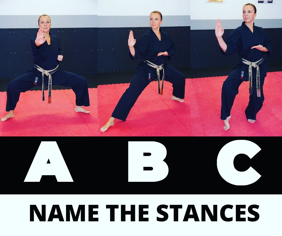 This week was stance week....Can anybody have a guess at which stances these are? Answers below please.... Have a go even if you're not so sure. #karate #martialartsschool #kickboxing #martialarts #training #fitness #peserverance #dedication #homelearning #homeschooling