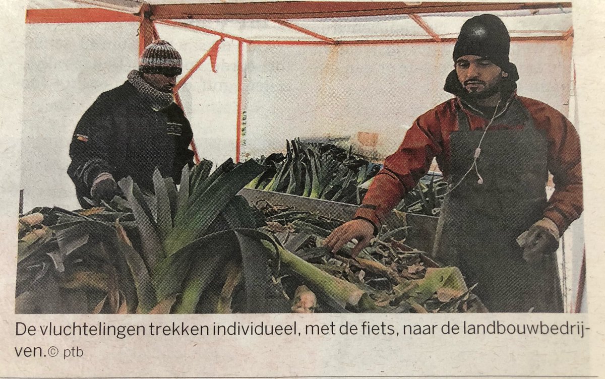 Ongemakkelijke waarheid voor sommigen (2/2)

<a href="/destandaard/">De Standaard</a> p37, vandaag:

Asielzoekers helpen boeren die geen personeel vinden. Zo komt er vers eten op de Vlaamse tafels.

(Mogen ze nog even blijven of moeten ze liefst direct weg?)
