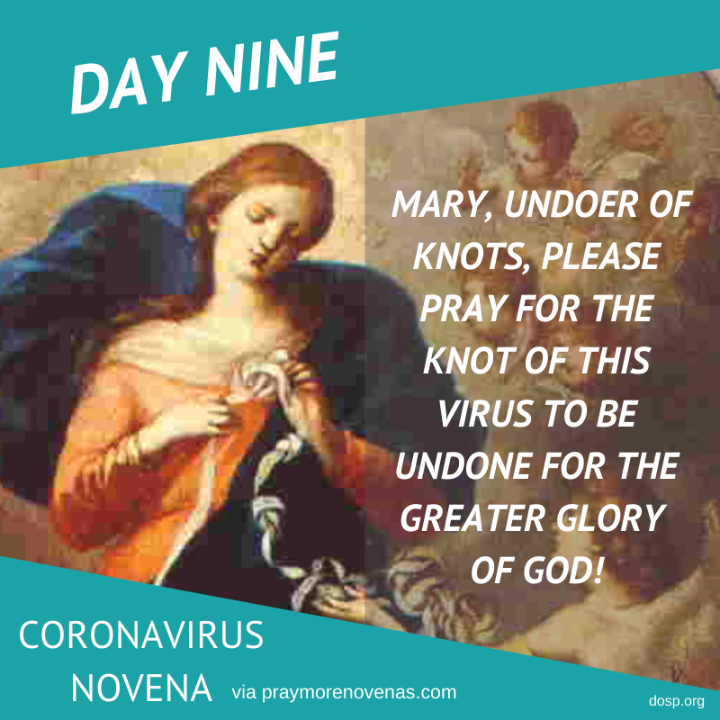 DioStPete's tweet photo. #CoronavirusNovena Day 9: On this last day of the novena, please pray the Day 9 prayer with us that can be found here: https://t.co/yaC2MPgW1p. #courageouslyliving #courageouslypraying #praytogether #unitedinChrist #unitedinprayer #sharingJesusnotgerms https://t.co/juC8ls6mqN