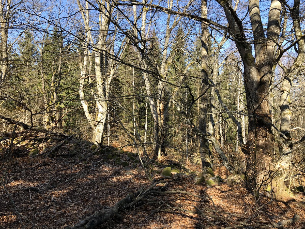 amclind's tweet image. Everywhere I look, there are signs of smiles and sunshine ☀️ 😊 #springisonitsway #coronaoptimism #morningwalk