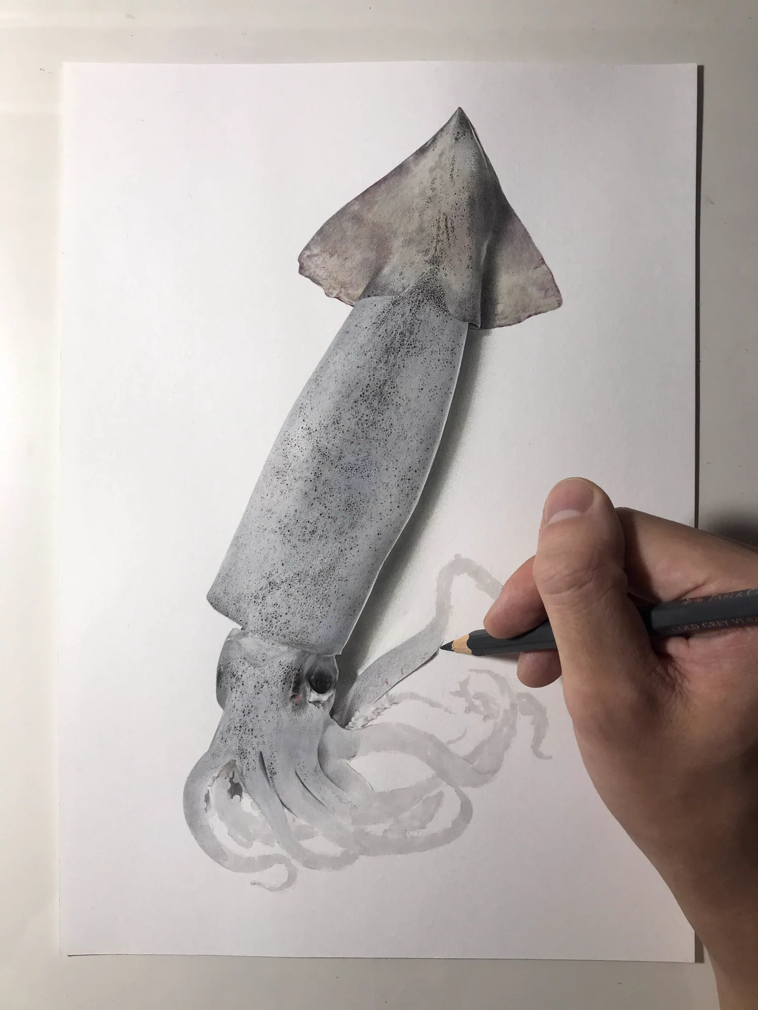 制作過程を見なければ絵とわからない？リアルすぎるイカの絵www